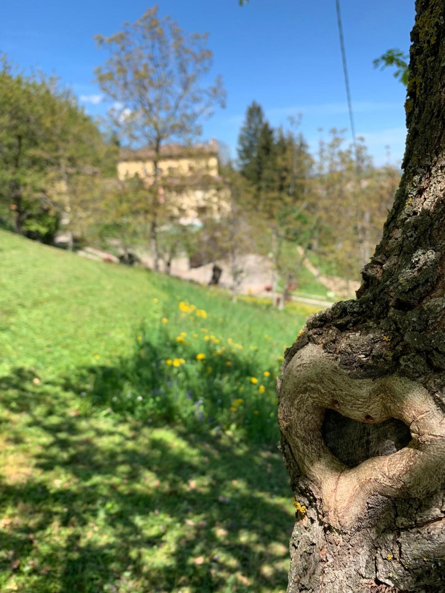 Borgo La Morra Villa Pavullo nel Frignano Eksteriør billede